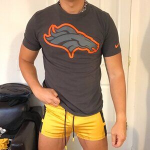 Nike Denver Broncos Logo Tee Shirt